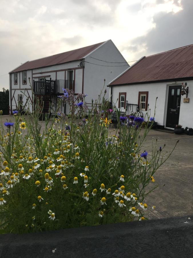 Granda Pat'S Loft Leilighet Crossmaglen Eksteriør bilde